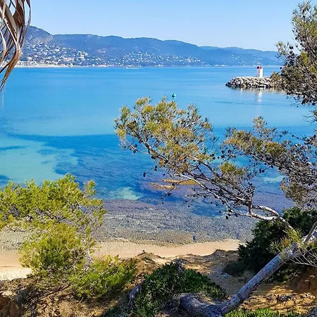 Selectsohome - Vue Piscine A La Faviere - Anglade *